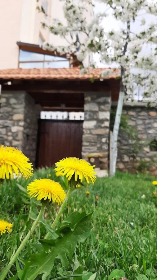 Guesthouse Tershana Peshkopi Bagian luar foto